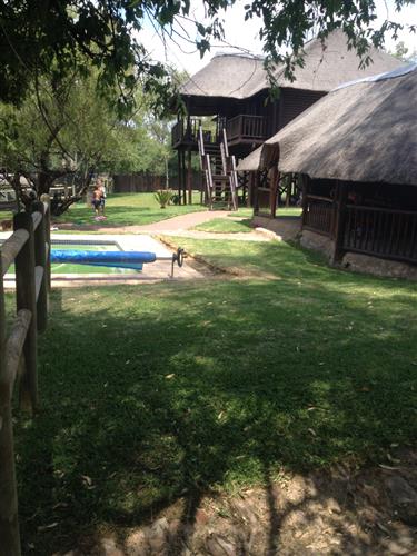 We shall be launching a new exciting concept soon. Our pick of the month TOP SELECTED PIGEON shall be accompanied by a free weekend for a family of 6 people at the Vaalriver. Self catering unit. Lapa, splash pool,80 m riverfront Kayak. See attached photo.