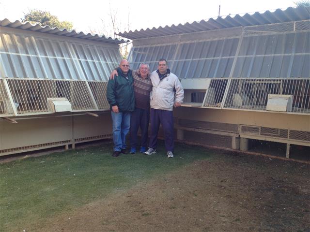 Egbert, John en Peet voor J & P Lofts se Hokke. Ons hou 100 duiwe hier aan. Die nuwe venootskap het sopas die GPU Algehele KORTPAD PUNTE gewen. 