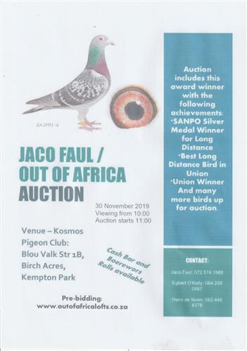 Our partner Jaco Faul has purchased a new house with little space for stock and race lofts. He is scaling his own stock birds down drastically. The pigeons shall be loaded in pre-bidding soon. See attached venue date for final auction. 