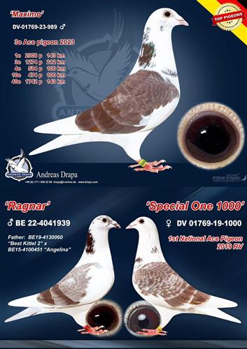DV 01769-23-989 - 